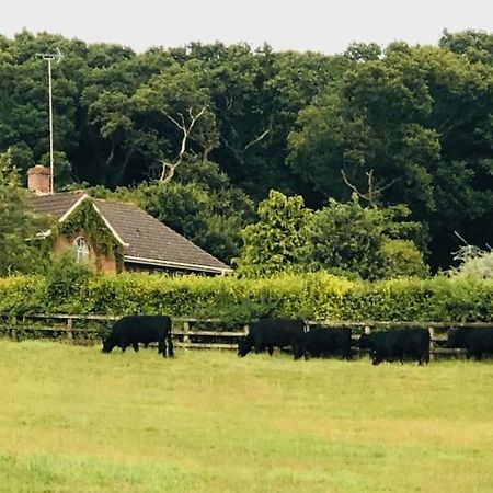 Yellowham Farm, Dorchester Higher Bockhampton Exterior foto